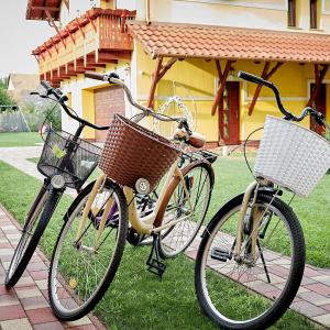 莫劳豪洛姆Klaudia Vendégház的两辆自行车停在房子前面的草地上
