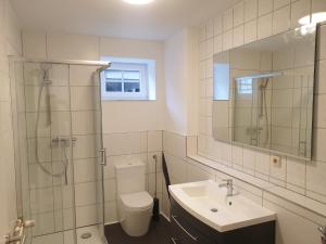 弗兰肯贝格Hotel Apartment Ferienwohnung Meyenhof Frankenberg Eder的一间带卫生间、水槽和镜子的浴室