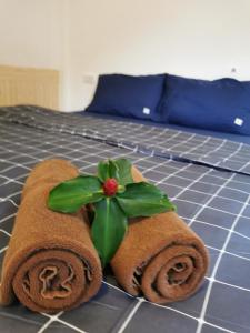 高兰De​ Lanta place的床上一双带植物的毛巾