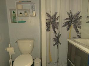 瓦尔卢龙Charmant logement sur la station de Val Louron的浴室设有卫生间、水槽和棕榈树淋浴帘。