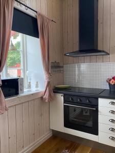 雪平斯维克Bo i egen stuga på härlig ölandsgård的一间带炉灶的厨房 窗边的顶部烤箱