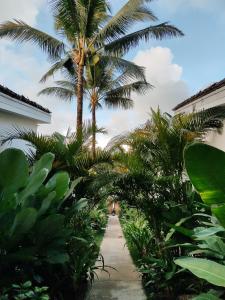 爱妮岛Bahala Na Villas的走道中间的棕榈树