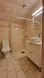 克拉格勒Bergland apartment 24的浴室配有卫生间、盥洗盆和淋浴。
