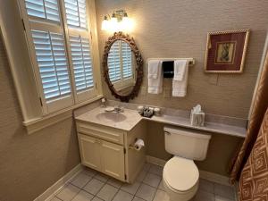 梅肯1842 Inn的一间带卫生间、水槽和镜子的浴室