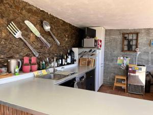 佩里那Finca Zayas Casa Rural & Guest Suites的厨房配有柜台、水槽和冰箱。