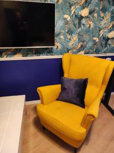 纽伦堡VogelsNest的一张黄色椅子和黑色枕头