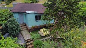 布莱顿霍夫Greenfield Lodge的前面有一棵树的蓝色小房子