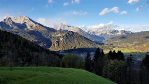 柯尼希斯湖畔舍瑙3 Bergpanorama und atenberaubende alpine Almlandschaft -Nichtraucherdomizil的山地绿地
