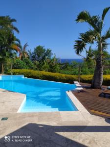 珀蒂蒂勒Villa spa Grand Anse的棕榈树别墅内的游泳池