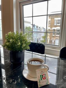 伦敦Portobello Living的一杯咖啡,在玻璃桌边,与植物一起