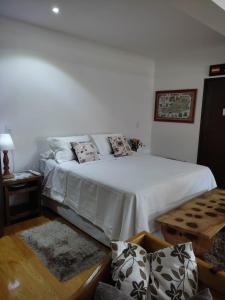 特雷齐蒂利亚斯Viena Hospedaria的一间卧室配有带白色床单和枕头的床。
