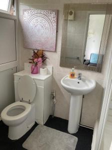 赫姆斯比185 Belle Aire, Beach Road, Hemsby, Norfolk, NR29 4HZ的浴室配有白色卫生间和盥洗盆。