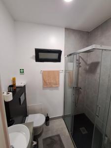 丰沙尔Friendly house的带淋浴、卫生间和盥洗盆的浴室