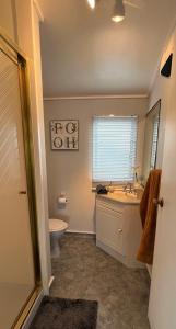 北帕默斯顿Charm on Chippendale B&B的一间带水槽和卫生间的浴室以及窗户。
