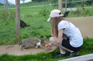 菲施巴豪Hof Rossruck的正在蹲下喂一只小兔子的女人