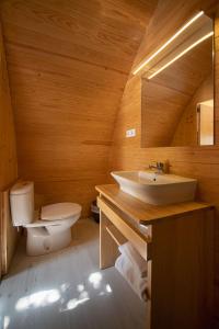 阿尔内斯埃尔斯珀茨露营酒店的一间带卫生间和水槽的浴室