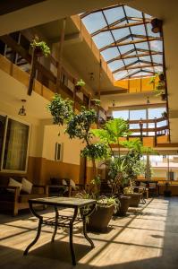 塔里哈塔里哈米特如酒店的一间有一堆盆栽植物和一张桌子的房间