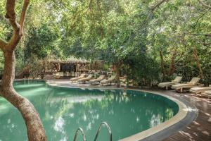 亭可马里Uga Jungle Beach - Trincomalee的庭院里一个带椅子和树木的游泳池