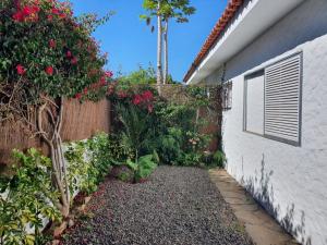 拉克鲁斯Cozy and intimate bungalow in Puerto de la Cruz的花卉园,毗邻建筑