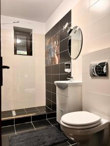 普雷代亚尔Penthouse luxury Predeal View的一间带卫生间、水槽和镜子的浴室