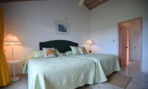 Stella Maris斯特拉马里斯度假俱乐部酒店的一间卧室配有一张带绿毯的床和两盏灯。