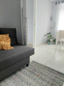 库尔迪加Pigeon apartment的带沙发和地毯的客厅
