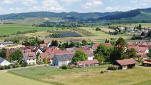 HößlinsülzPension Breitenauer See的山丘上小村庄的空中景观