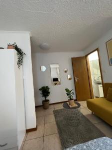 洛桑Apartamento Lausanne的客厅配有沙发和桌子