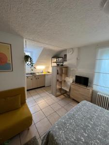 洛桑Apartamento Lausanne的一间带床和厨房的客厅