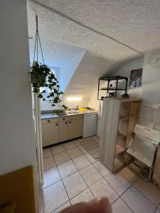 洛桑Apartamento Lausanne的一个带水槽和桌子的小厨房