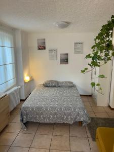 洛桑Apartamento Lausanne的一间卧室配有床和植物