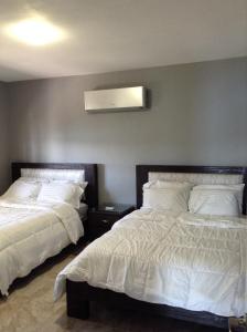 库莱布拉恩塞纳达本田别墅的一间卧室配有两张床和空调。