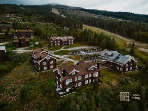 特吕西尔Great apartment in Trysil, ski inout, wifi, sauna的森林中大房子的空中景观