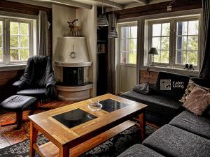 特吕西尔Great apartment in Trysil, ski inout, wifi, sauna的带沙发和咖啡桌的客厅