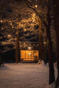 特拉凯Beautiful Tiny house on the lake side.的雪中一扇门,有灯