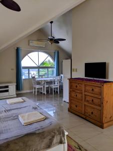 博卡斯德尔托罗Santuarios del Mar的一间卧室配有一张床、一台电视和一张桌子