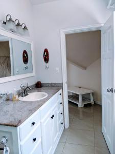 博卡斯德尔托罗Santuarios del Mar的一间带水槽和镜子的浴室