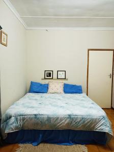 彼得马里茨堡18 on Shores的一间卧室配有一张带蓝色枕头的床