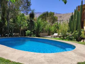 皮斯科艾齐El Jardín Secreto-Pisco Elqui的一个带长凳的庭院内的蓝色游泳池