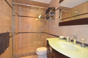 汉密尔顿苏摩公寓的一间带水槽、卫生间和淋浴的浴室