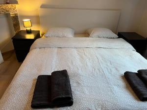布鲁塞尔Cosy Apartment Merode的一间卧室配有一张带两个枕头的床