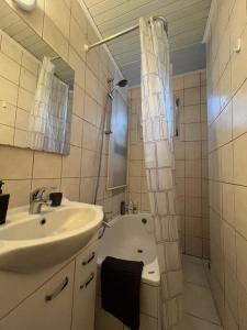 布鲁塞尔Cosy Apartment Merode的浴室配有水槽、淋浴和浴缸。
