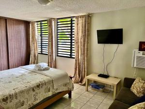 里奥格兰德Entire Beach Apartment with view to El Yunque National Rain Forest的一间卧室配有一张床、一台电视和一张沙发