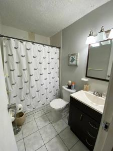里奥格兰德Entire Beach Apartment with view to El Yunque National Rain Forest的浴室设有盥洗盆、卫生间和淋浴帘。