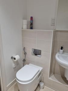 巴尔金Chi's apartment的浴室配有白色卫生间和盥洗盆。