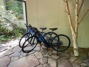 高山奥飞驒温泉乡旅馆（仅限成人入住）的两辆自行车停在树旁的墙上