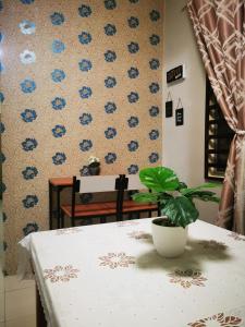 关丹BR Guesthouse Kuantan的上面有盆栽的桌子