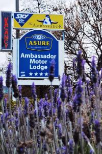 奥玛鲁尔舒大使汽车旅馆的一块紫色花在标志前
