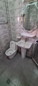 科纳克里Résidence Diakhaby的一间带卫生间和水槽的浴室