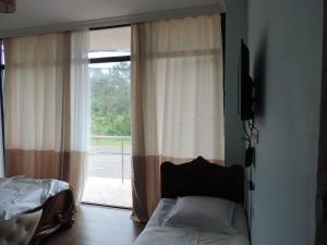 科布列季LUKA的一间卧室设有一张床和一个大窗户